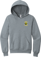 Chester County Youth Sponge Fleece Pullover Hoodie