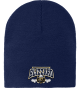 Blizzard Knit Skull Cap