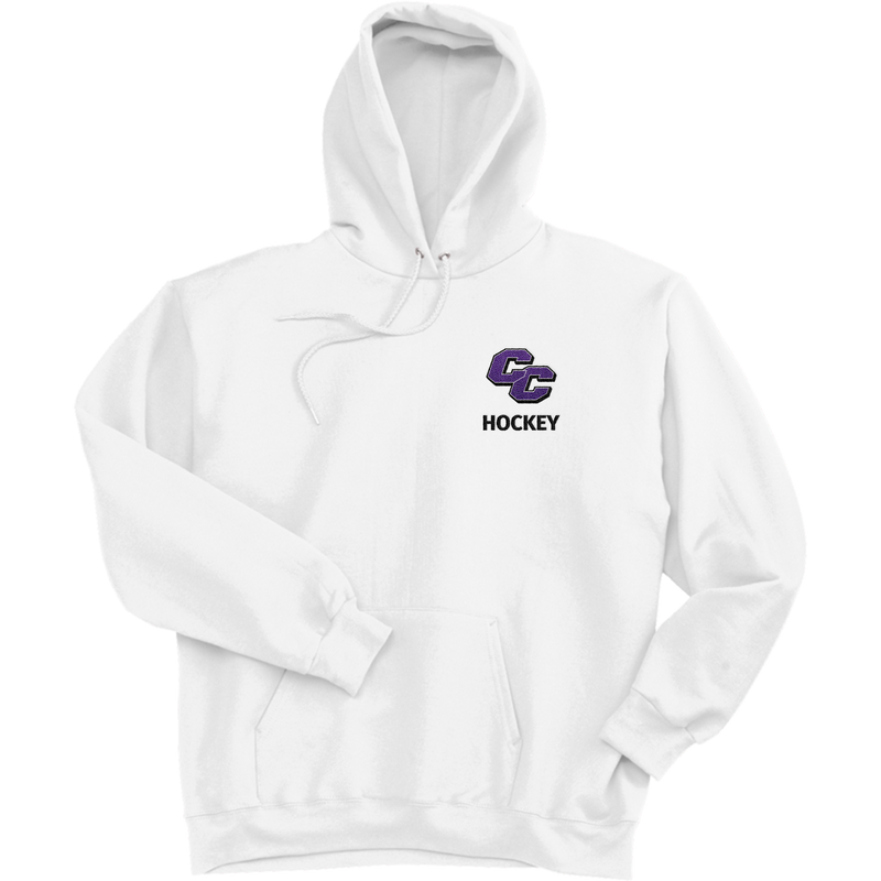 Curry College Ultimate Cotton - Pullover Hooded Sweatshirt