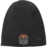 Danville Iron New Era Knit Beanie