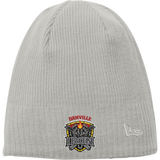 Danville Iron New Era Knit Beanie
