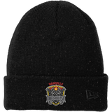 Danville Iron New Era Speckled Beanie