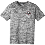 Scary Badgers Youth PosiCharge Electric Heather Tee